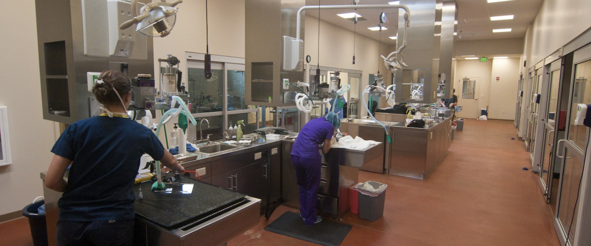 A kitchen with many different types of equipment.